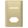 Interruptor 1 Tecla Paralelo com Tomada 10A Novara Dourado com Gold