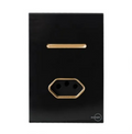 Interruptor 1 Tecla Simples com Tomada 20A Novara Glass Preta Gold