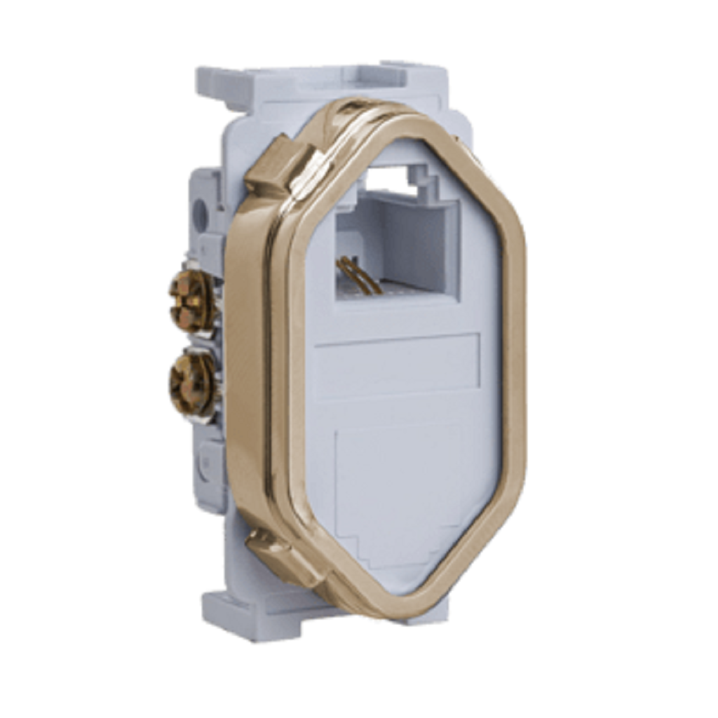 Tomada RJ 11 Branco com Gold