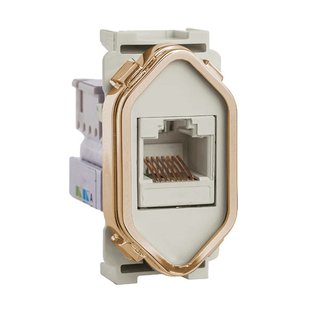 Módulo Rj 45 Champanhe Novara Gold