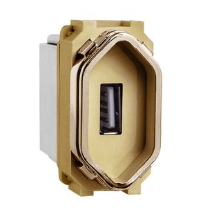Módulo USB Dourado Novara Gold