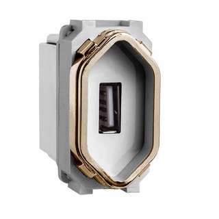 Módulo USB Prata Novara Gold