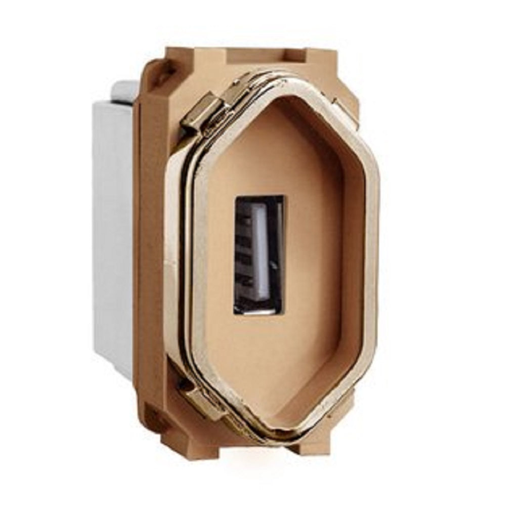 Módulo USB Ouro Rose Novara Gold