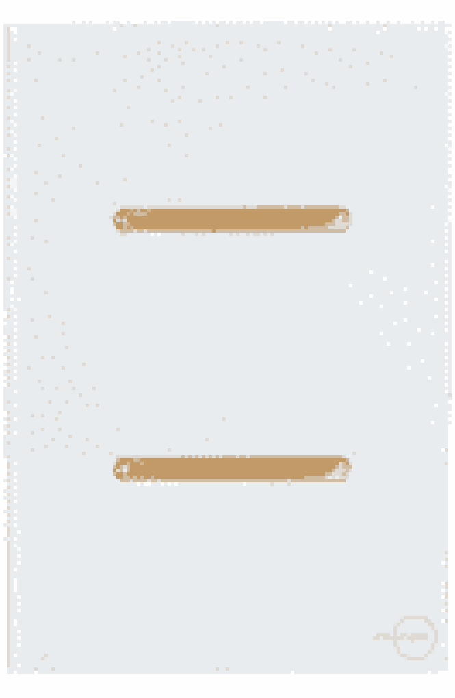 Interruptor 2 Teclas Paralelas Novara Glass Branco com Gold